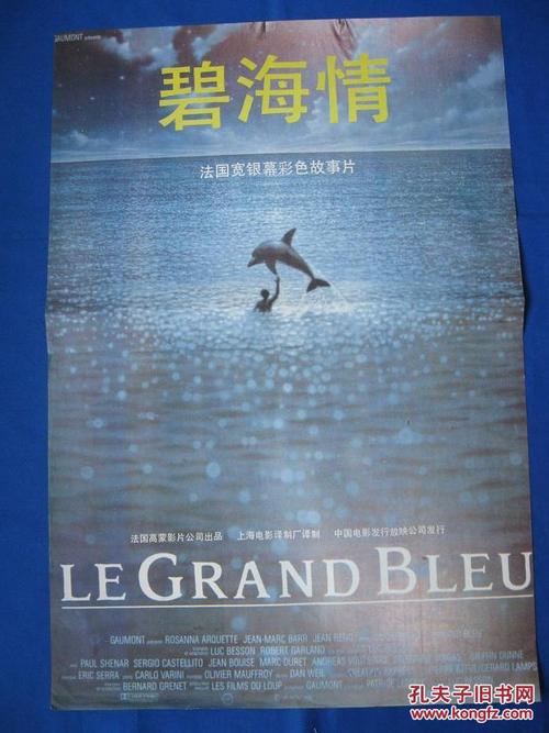 南安普敦大学市场营销文凭证书